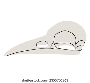 Flat vector illustration of a bird's skull. An illustration in a trendy style drawn by hand. An esoteric element for witchcraft. Isolated design on a white background.