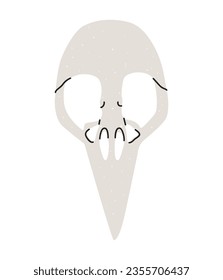Flat vector illustration of a bird's skull. An illustration in a trendy style drawn by hand. An esoteric element for witchcraft. Isolated design on a white background.