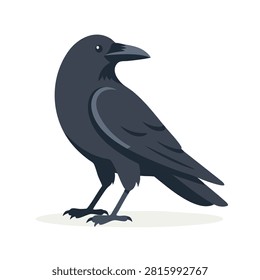 A flat vector illustration of a black crow standing in profile isolated on a white background.