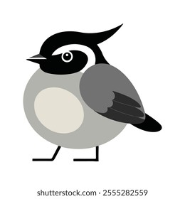 Flat Vector Illustration of BlackCapped Chickadee with Black Cap and Clean Lines