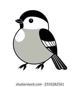 Flat Vector Illustration of BlackCapped Chickadee with Black Cap and Clean Lines