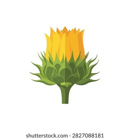 Flat vector illustration of a blooming yellow sunflower bud with green sepals on a white background