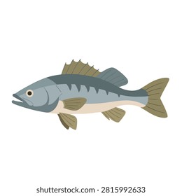 A flat vector illustration of a blue bass fish with detailed fins and scales depicted in a clean artistic style
