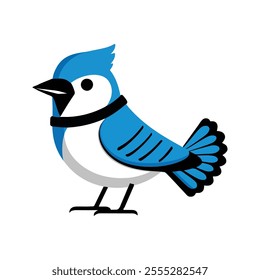 Flat Vector Illustration of Blue Jay with Bold Blue and White Feathers