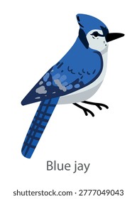 Flat vector illustration blue