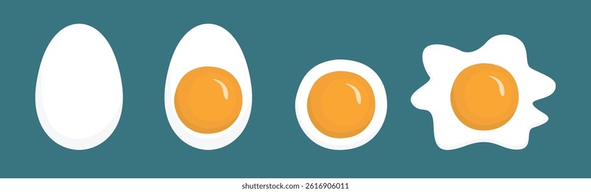 Flat vector illustration of boiled egg. Boiled egg cut in half, fried egg. Healthy breakfast concept