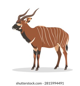 A flat vector illustration of a bongo antelope, characterized by its reddish-brown coat with vertical white stripes and spiraled horns, isolated on a white background.