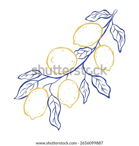 Flat vector illustration with branch of lemons and leaves in italian sketch style. Hand drawn line art clip art. Citrus tropical fruits. Use for print, logo
