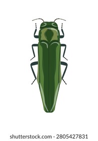 Flat vector illustration of a bright emerald green jewel beetle insect isolated on white background.