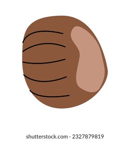 Flat Vector illustration of brown chestnut on white background