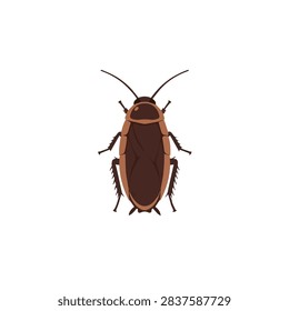 Flat vector illustration of a brown cockroach isolated on white background for pest control design.