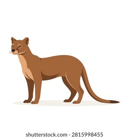 A flat vector illustration of a brown jaguarundi cat standing in profile, showing its long body and sleek coat in a stylized animal design.