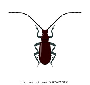Flat vector illustration brown