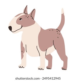 Flat vector illustration of a bull terrier. Dog isolated on a white background.