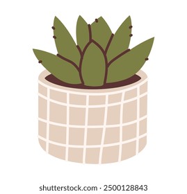 Flat vector illustration of a cactus in a pot isolated on a white background.