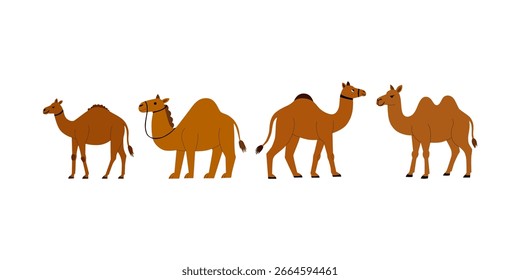 Ilustración vectorial plana del animal del camello