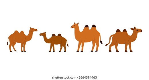 flache Vektorgrafik eines Kameltieres