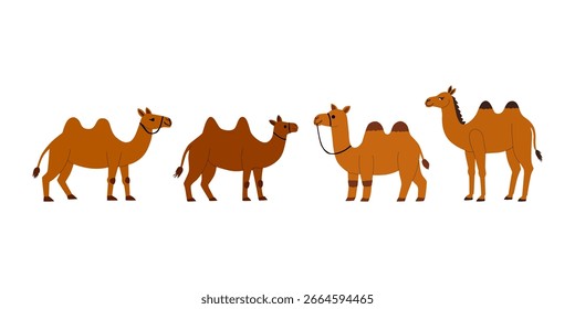 ilustração vetorial plana de camelo animal