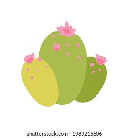 Flat vector illustration of a cartoon cactus without thorns with pink flowers. An exotic prickly plant isolated on a white background.