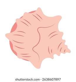 flat vector illustration of cassis cornuta shell isolated on white background