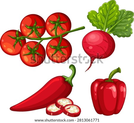 Flat vector illustration of cherry tomatoes, radish, bell pepper, and chili on white background