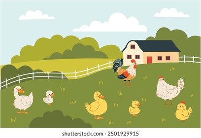 Flat vector illustration in children's style. Field and farm landscape, domestic birds, hen rooster duck goose goose chicken duckling goose duckling goose chick