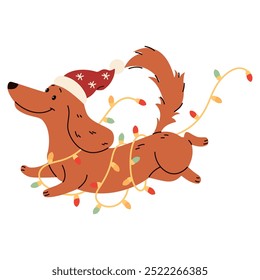 Flat vector illustration in children's style. Cute dachshund in Santa Claus hat running tangled in a garland. Christmas illustration