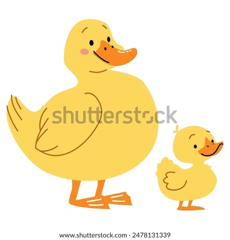 Flat vector illustration in children's style on white background. Cute duck with duckling 