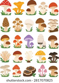 Flat vector illustration collection featuring edible mushrooms including chanterelle, boletus, morel, oyster, and other forest fungi isolated on a white background.