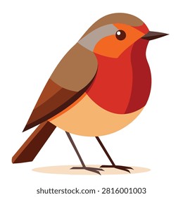 A flat vector illustration of a colorful European robin with a red breast and brown plumage standing on a light background