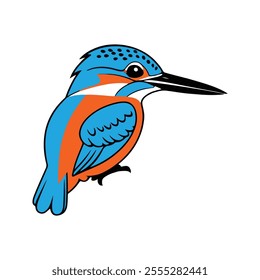 Flat Vector Illustration of Colorful Kingfisher with Blue and Orange Feathers