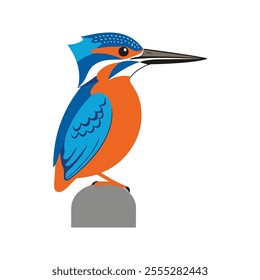 Flat Vector Illustration of Colorful Kingfisher with Blue and Orange Feathers