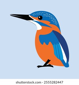 Flat Vector Illustration of Colorful Kingfisher with Blue and Orange Feathers