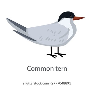 Flat vector illustration of a common tern in side view. Elegant seabird isolated on a white background suitable for educational and graphic design materials.