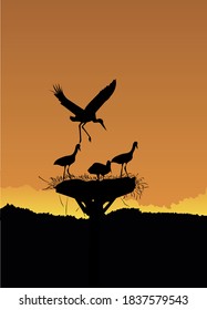 Flat Vector illustration concept in Evening time in nest, nature concept, 