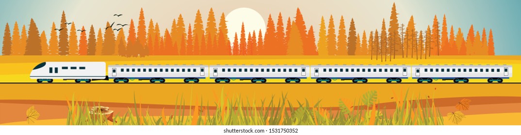 Flat vector illustration of countryside landscape golden forest view, train driving near the forest , in background. Banner horizontal panorama.
