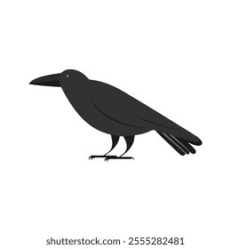 Flat Vector Illustration of Crow with Bold Black Body and Clean Lines