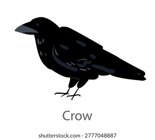 Flat vector illustration of a crow in side view. Black corvid bird isolated on a white background.