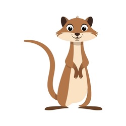 Flat Vector Illustration of Curious Mongoose with Big Eyes and Simple Tail