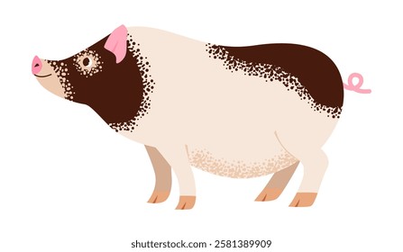 Flat vector illustration of a cute pig. Farm animal.