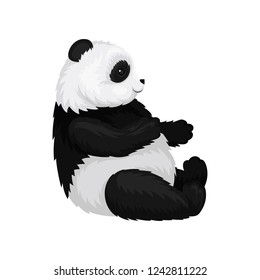 Flat vector illustration of cute sitting panda, side view. Bamboo bear with fluffy black and white fur. Exotic animal