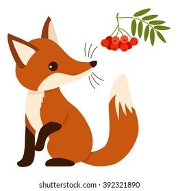 Flat vector illustration of a cute sitting fox cub character with mountain ash tree branch with leaves and berries. Contemporary flat woodland themed paper cutout style design element.