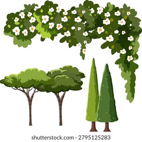 Flat vector illustration of cypress trees, stone pines, and flowering jasmine vines on white background.