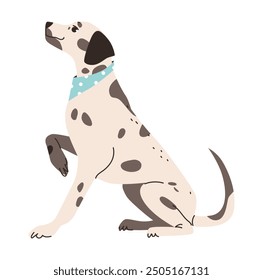 Flat vector illustration of a Dalmatian dog. Illustration of a happy Dalmatian with a wagging tail. 