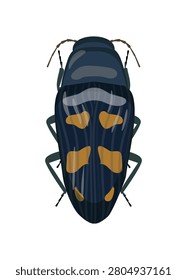 Flat vector illustration of a dark blue spotted jewel beetle insect isolated on white background.