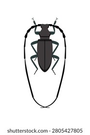Flat vector illustration dark