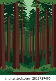 A flat vector illustration of a dense forest with tall redwood trees and lush green undergrowth in a stylized minimalist art style.