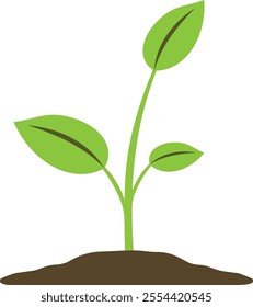 Flat vector illustration depicting a young green plant sprouting from the soil. The plant has three vibrant green leaves, each with a darker green vein running through the center.