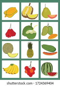flat vector illustration design of exotic tropical fruit set 