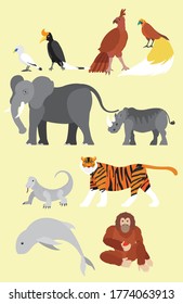 flat vector illustration design of indonesia native animals